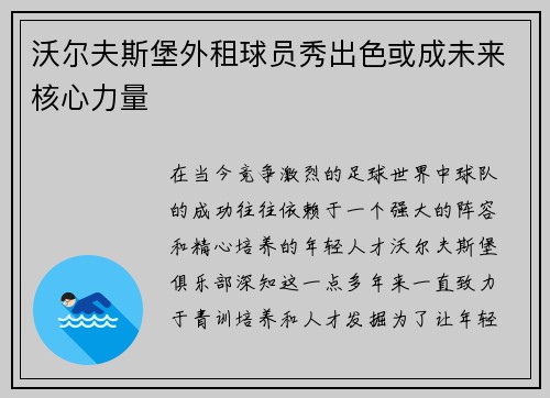 沃尔夫斯堡外租球员秀出色或成未来核心力量